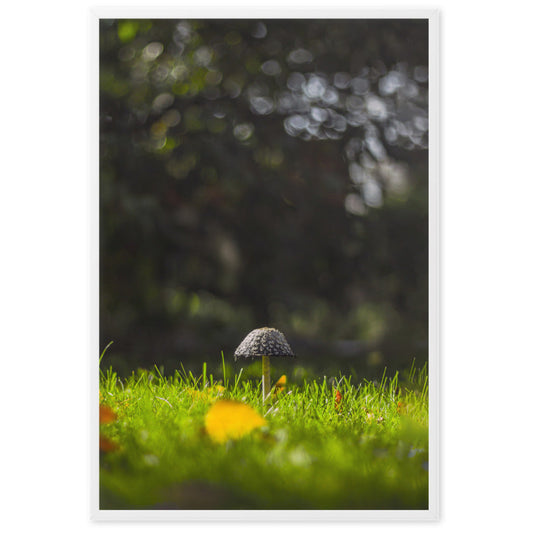 Poster - Mushroom