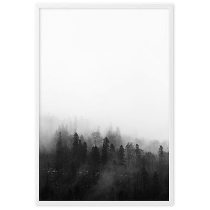 Affiche - Forêt dans le brouillard