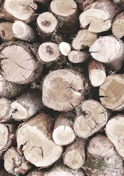 Geometrie der Natur | Geometrisches Design | Von der Natur inspiriert