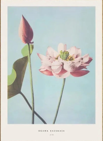 Ogawa Kazumasa | Peony Ukiyo-e Kunst