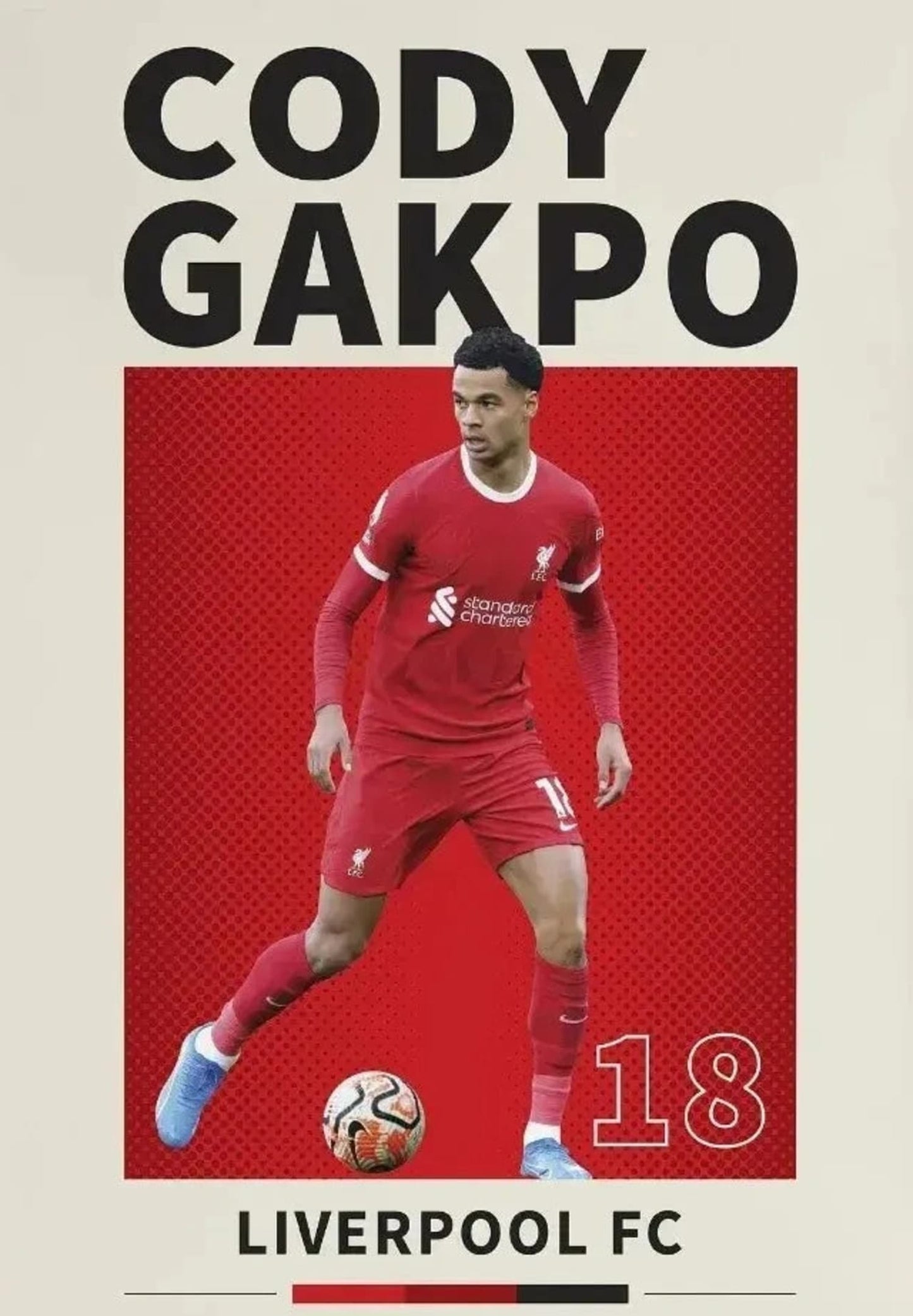 Cody Gakpo | Fußballkunst