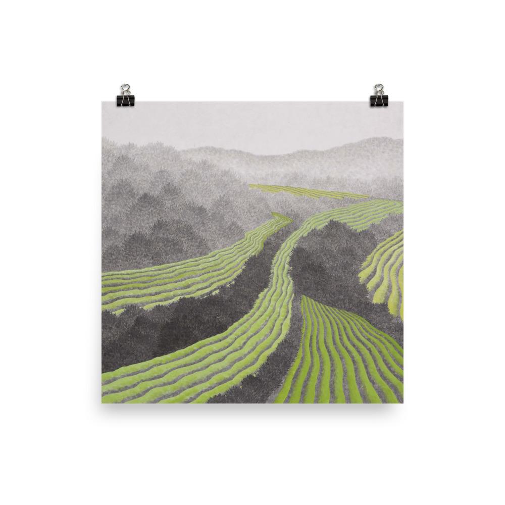 Rice field - poster