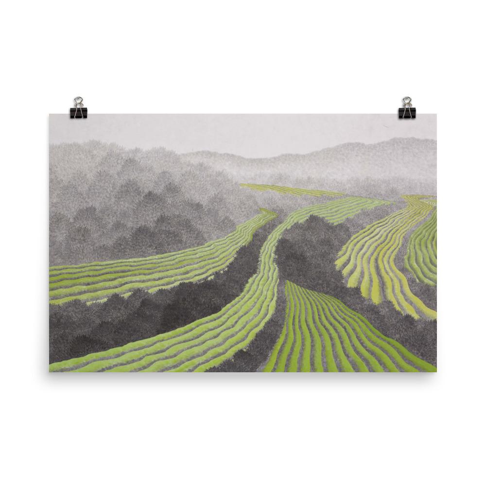 Rice field - poster