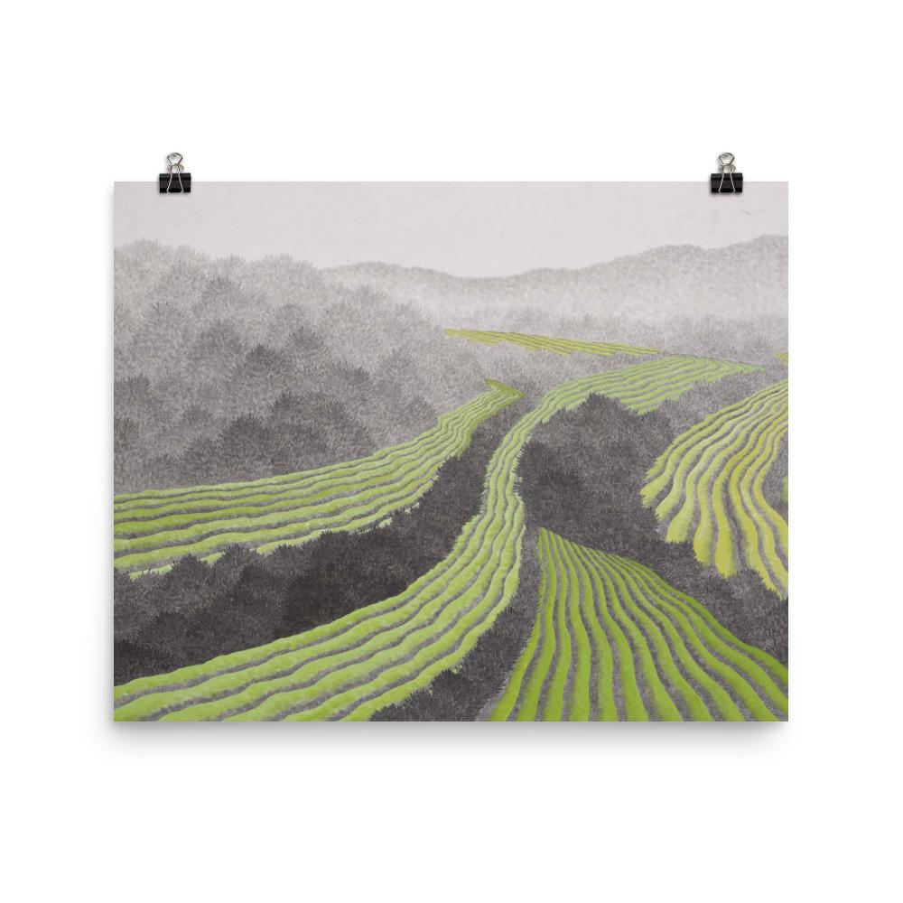 Rice field - poster