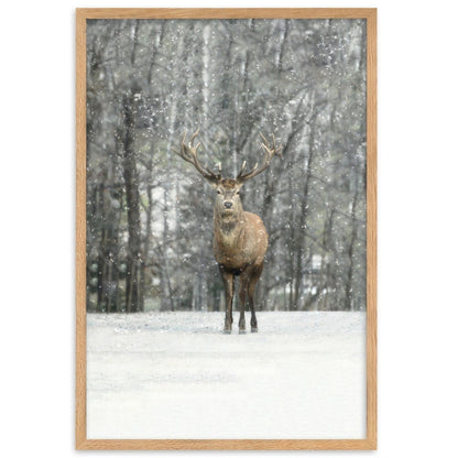 Winter editions | Hi Deer