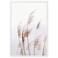 WINDY RIETS