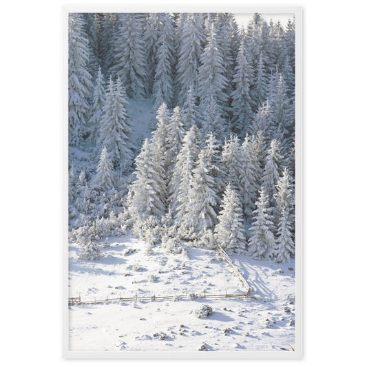 Winter editions | Forrest in Snow