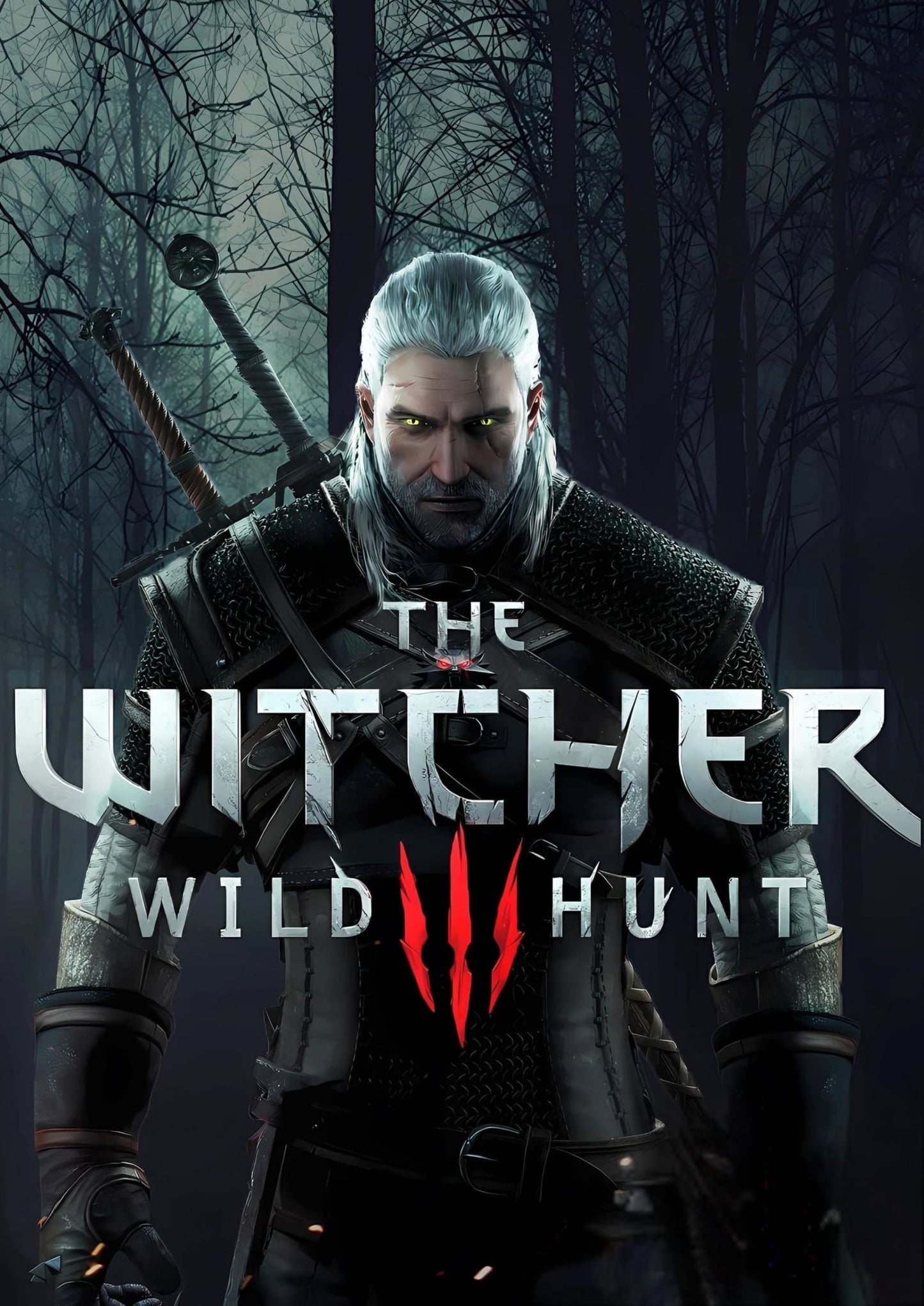 The Witcher Wild Hunt | Game Kunst
