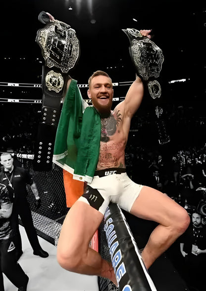 Conor McGregor | UFC Dubbele Band Overwinning | Bokskunst