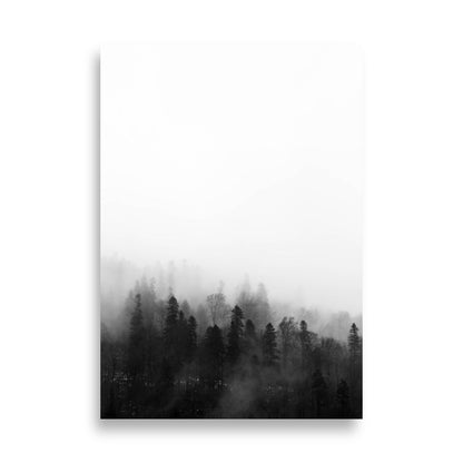 Affiche - Forêt dans le brouillard